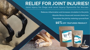 Save 10% Off Joint Injury for Dogs and Joint Injury/Synovitis Solution for Horses