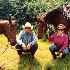 Horse Herbs