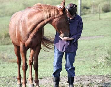 Horse Health Guide Solutions