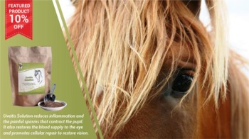 Save 10% Uveitis Solution for Horses