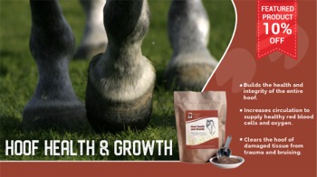 Save 10% Off Hoof Health & Growth Solution for Horses