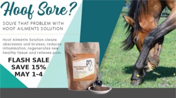Save 15% Off Hoof Ailments Solution for Horses