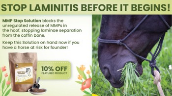 Save 10% Off MMP Stop Solution for Horses