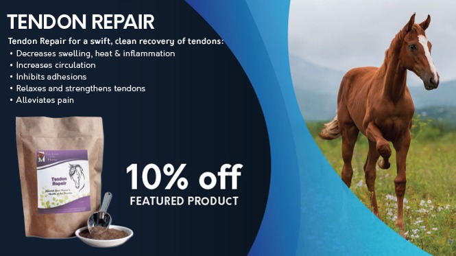 Save 10% Tendon Repair for Horses