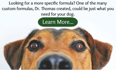 Cusomt Herbal Formulas for Dogs