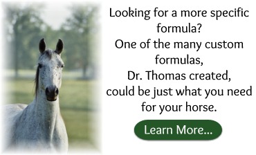 Custom Herbal Formulas for Horses