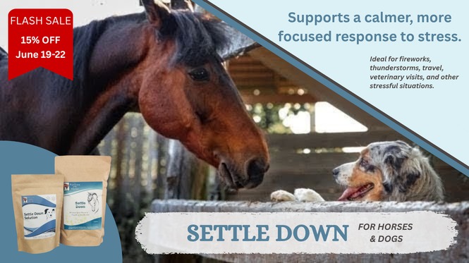 FLash Sale Save 15% Settle Down Solution for Horsess and Settle Down Solution for Dogs