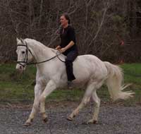Barefoot Horse Health Care