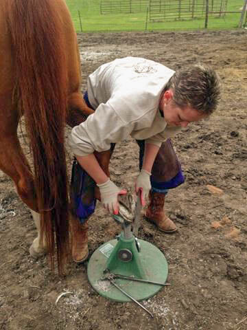 Barefoot Horse Health Care