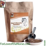 Hoof Ailments Solution for Horses