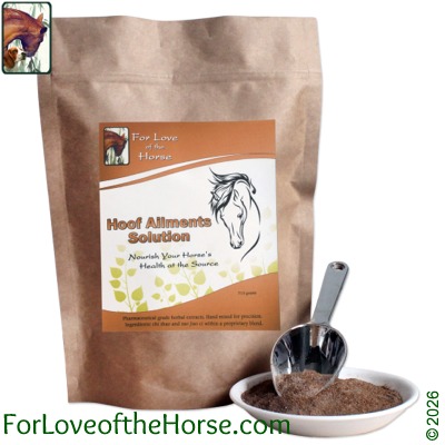 Hoof Ailments Solution for Horses