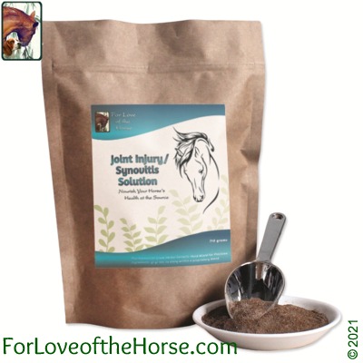 Joint Injury / Synovitis Solution for Horses 710g